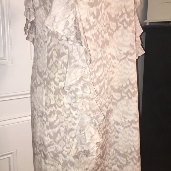 Silk Ruffle Dress - Picture 3 of 5